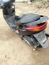 بريز ببغاء • نضيفه • عطله
