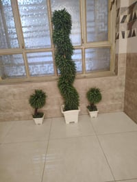بيع مستعجل بسعر كلش مناسب 07742423109
