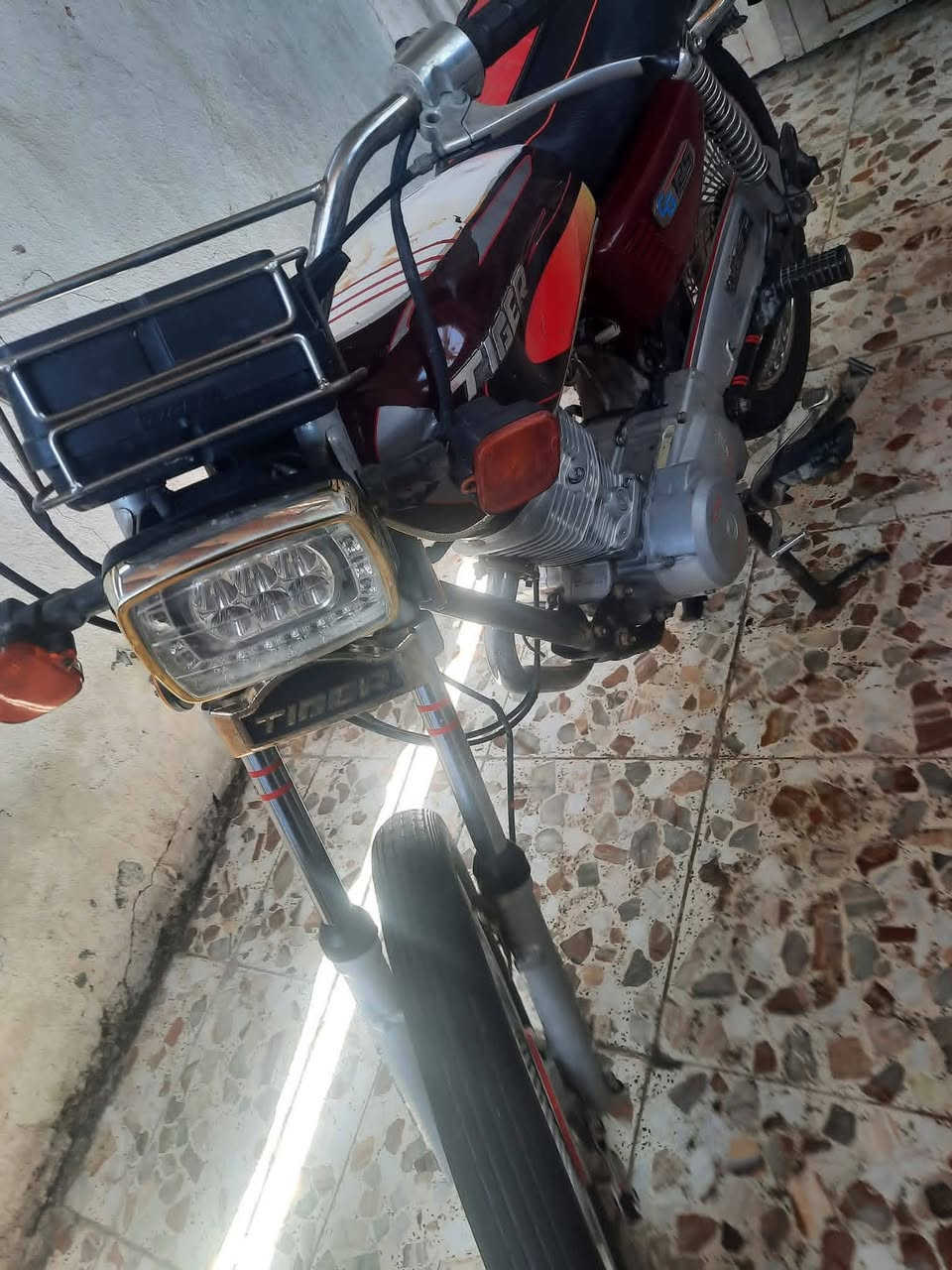 لبيع تايكر نضيهه لا تنقيص لا تبخير اوراق اصولي مكان بابل الطليعة منطقة الجذع ***********
