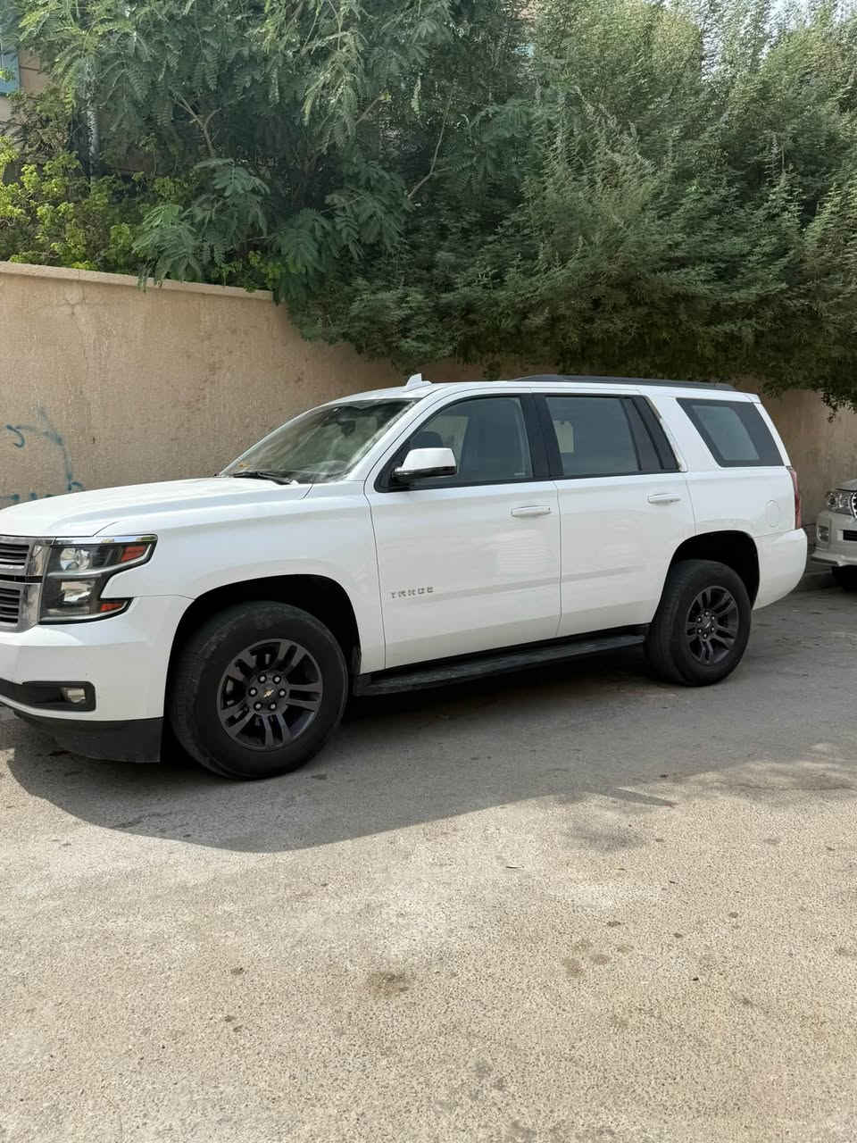 تاهو • ٢٠١٦ • مكفوله