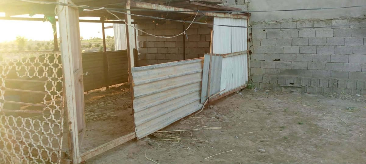 للبيع أو مراوس 4 دوانم طابو زراعي سند 25 باسمي بيها 3بيوت ومسبح وحديقة كبيرة ومحاصير حلال مزروعة نخيل وزيتون ونبك تفاحي ورمان وبمبر واشجار مختلفة بغداد نهاية سبع قصور بالاوسمة والانواط الاتصال ***********

نص مكتوب في الصور:
- ١٨:١٨ ٢٠٢٦/٠٩/١٠ أدخل النص TECNO