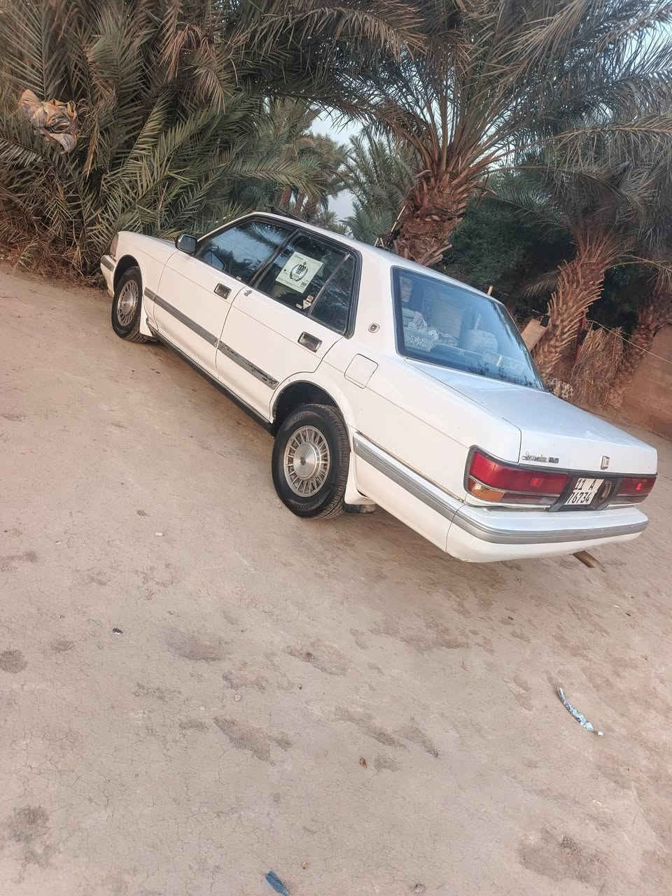 موديل ٩٠ • مصبوغة • عزيزة
