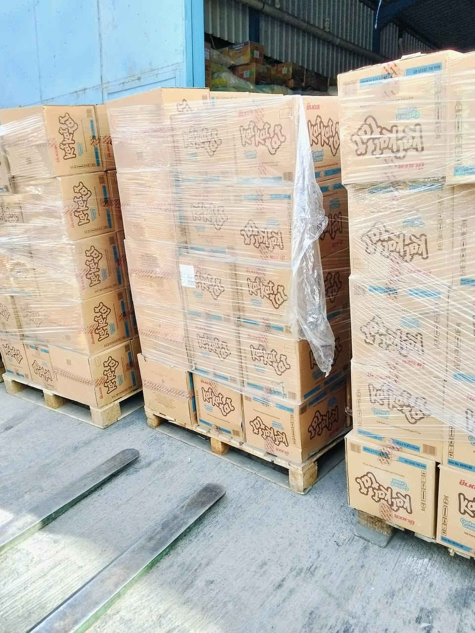 كارتون • ١٢×١٢ • جملة فقط
