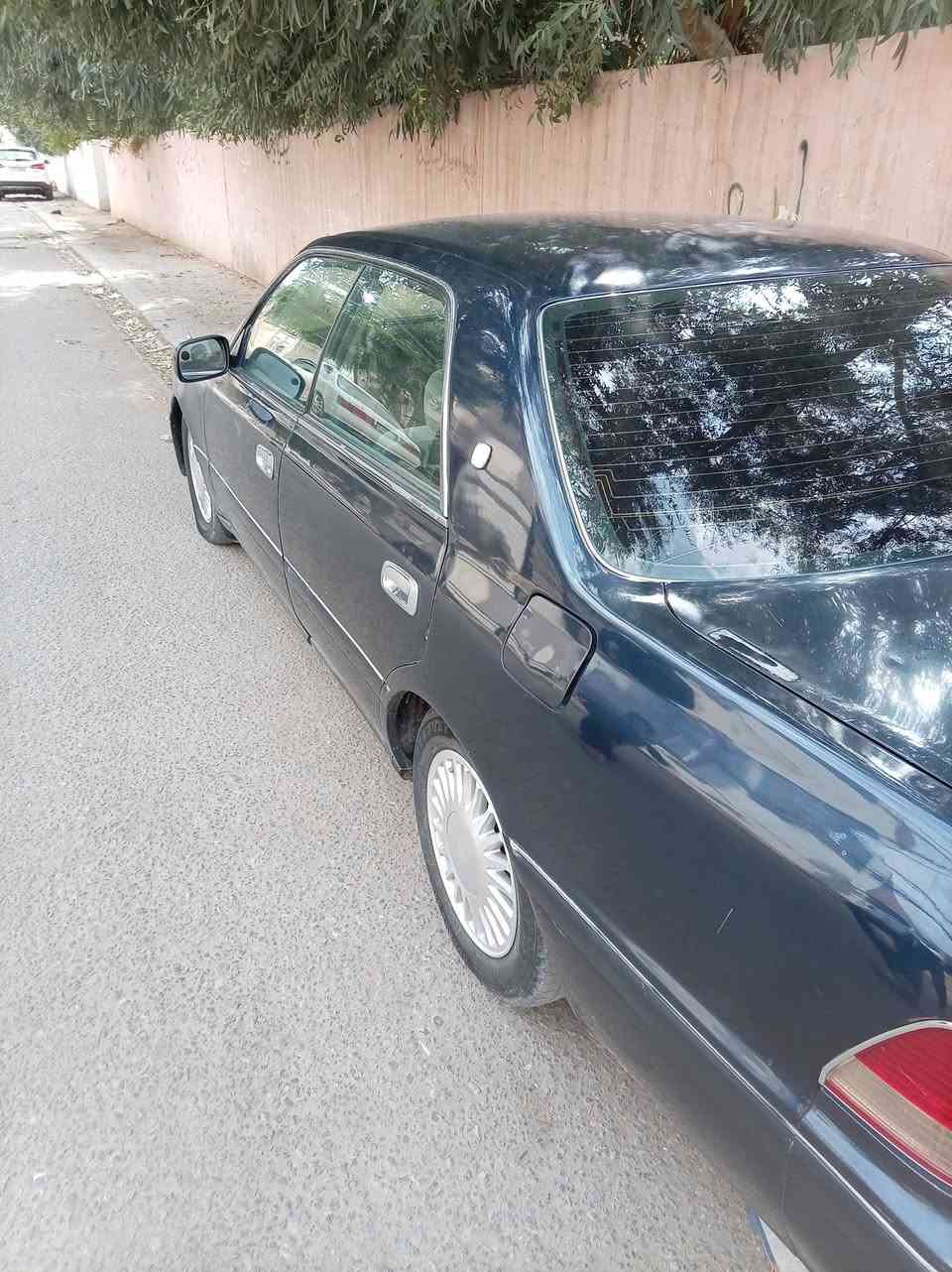 رأس الثور • مداور • نجف