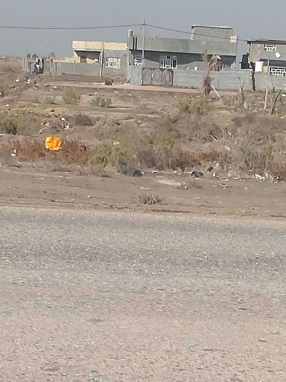 بيت يصلح حسينيه موكب المساحه 350يبعد عن الشارع العام،50متر للبيع ***********
