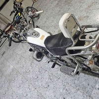 فراشه جني • ٢٠١٩ • اوراق كامله