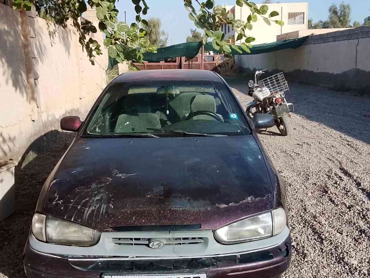 النترا ٩٤ • رقم ديالى • معجون