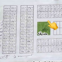 الديوم بل مسيج • ٢٠٠م • مقابل حديقة