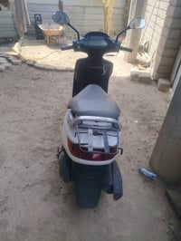 فراشة • شغال • البصرة