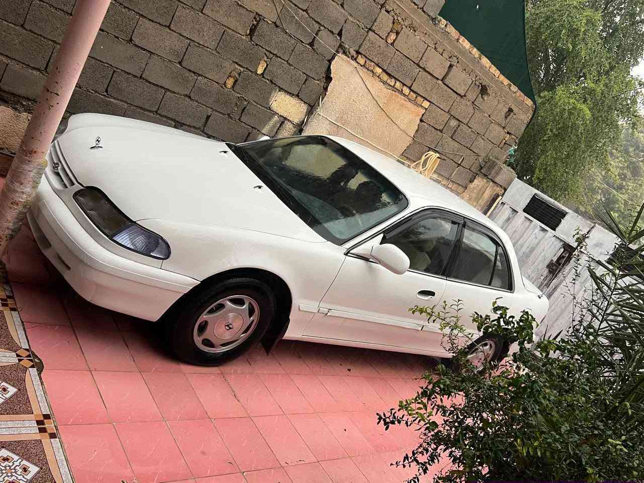 سوناته تو موديل 95تبريد تخم تاير سيارة خير من الله رقم دولي كير عادي السعر 48وبيها حك الجيه ***********
المكان ديالى خان بني سعد
