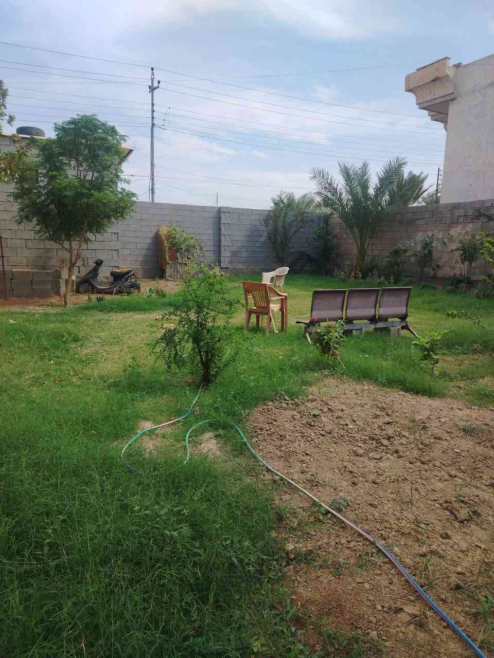 الرمادي الصوفيه • طابو زراعي • ٢٢٨م