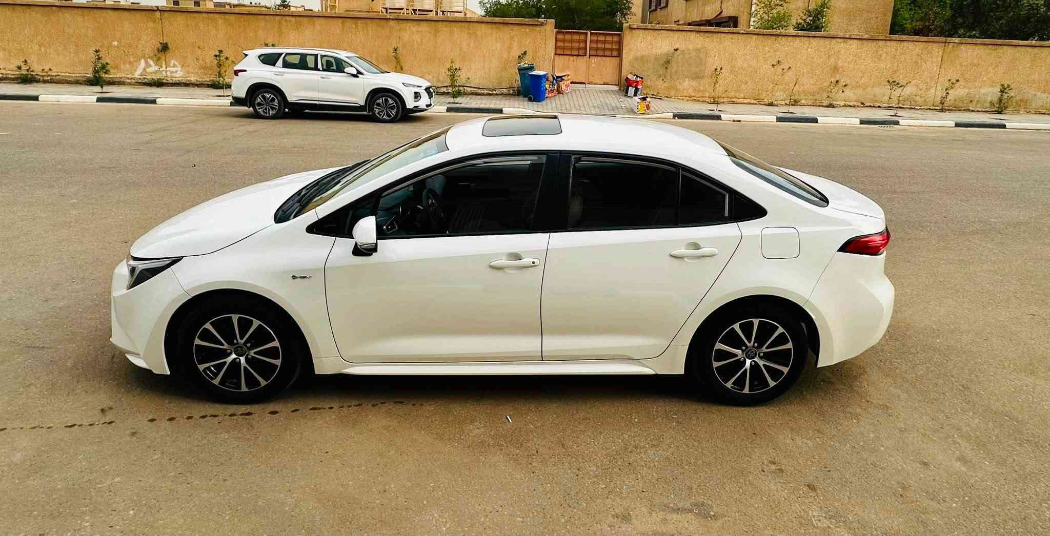 كورلا هايبرد • ٢٠٢٥ • رقم كربلاء