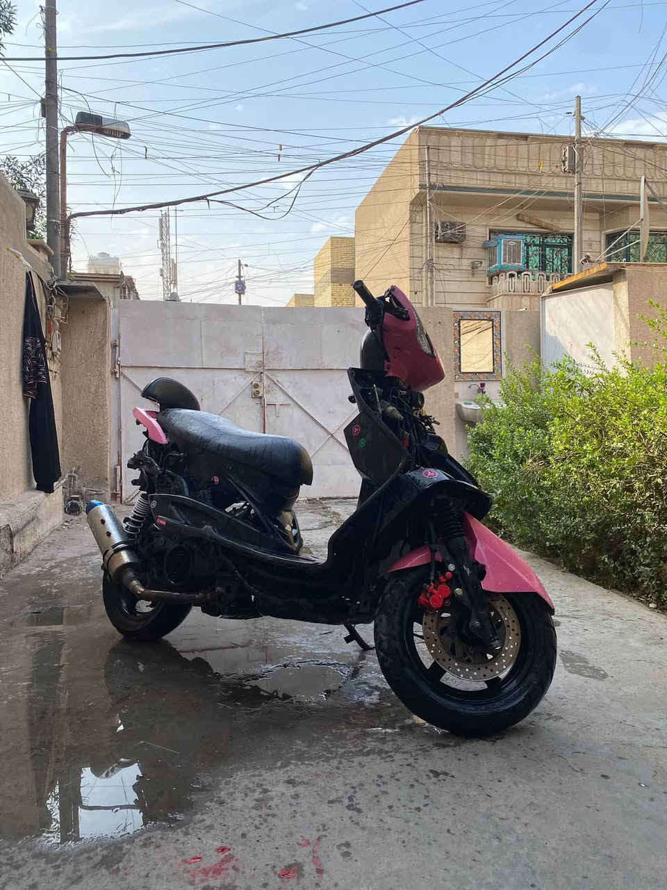 سكنس فحل • بوشه ٥٨ونص • شلعه معدل