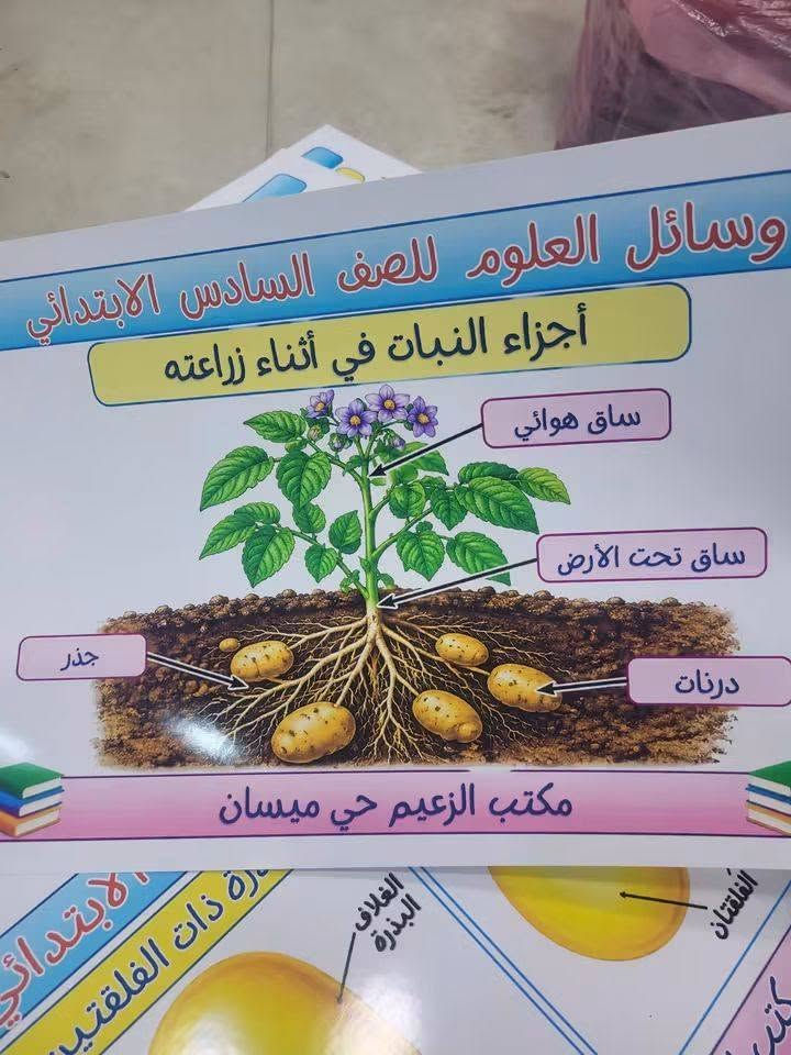 وسائل العلوم سادس • ٦٠ بوستر • حي ميسان