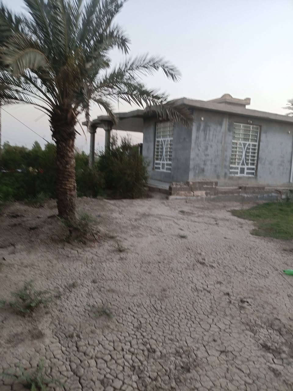 البيع ٢٠ دونم مع بيوت اثنين حديثات بابل جبلة واتساب ***********
