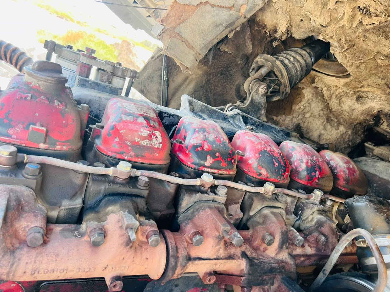 مان ٢٠٠٠ • ديالى • سنويه جديده
