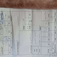 سيف سعد • ٣٠٠م • طابو صرف