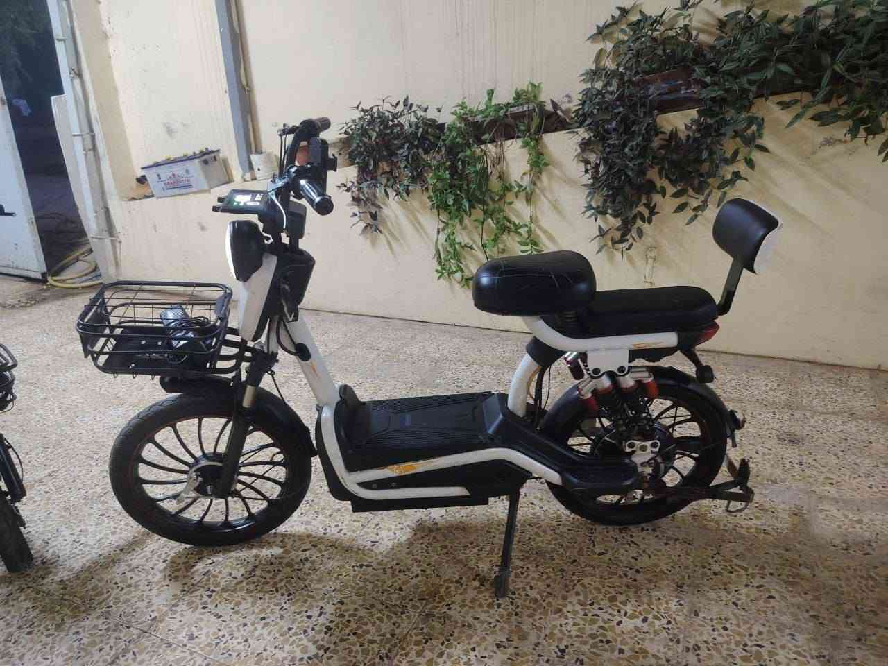 *ماطورات شحن مستعملة للبيع 🛵⚡️

متوفر ماطورين شحن مستعملات نظاف على وضع الشركة، شغل وفحص شرط 💯

*🔹 الماطور الأول - الأبيض*
اللون : أبيض 
عدد البطاريات : 6 بطاريات 
الحالة : مستعمل - ملف أصلي بلادي ممبدل نهائياً
المواصفات : - سلة أمامية - كرسي خلفي - نظافة جيدة جداً
السعر : 350 ألف وبيه مجال للشراي

*🔹 الماطور الثاني - الأزرق الفاتح*
اللون : أزرق فاتح
عدد البطاريات : 4 بطاريات
الحالة : مستعمل - ملف أصلي بلادي ممبدل نهائياً
المواصفات : ماطور ناعم واقتصادي - خفيف ومرتب - مال طلعة
السعر : 250 ألف وبيه مجال للشراي

*ملاحظة : الماطورين ثنينهم بيهم مجال

المكان : الموصل
للاستفسار والاتصال : ***********
