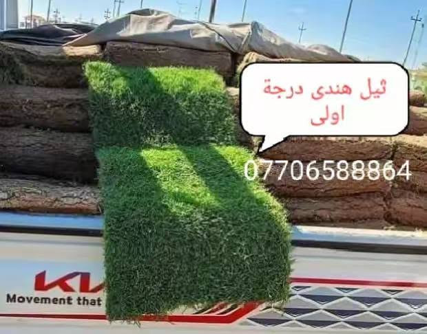 متابعينة الكرام //يتوفر جميع انواع الثيل من مزرعة  مشتل التاجي (ثيل هندي )(ثيل فرنسي )(ثيل ايطالي) بسعار مناسبه يوصلك الباب البيت مباشر من المزرعه فريش وريان للحجز والاستفسار
*********** يتوفر واتساب
*********** يتوفر واتساب
متابعينة الكرام //يتوفر جميع انواع الثيل من مزرعة  مشتل التاجي (ثيل هندي )(ثيل فرنسي )(ثيل ايطالي) بسعار مناسبه يوصلك الباب البيت مباشر من المزرعه فريش وريان للحجز والاستفسار

نص مكتوب في الصور:
- ثيل هندى درجة اولى ***********
- *********** فرنسي
- ثيل هندی درجة اولى ***********
- زميج خاص للحدائق ***********