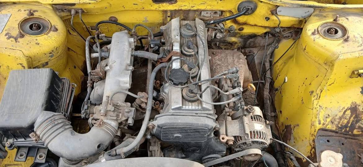 بيجو روا • ٢٠١٠ • رقم نجف