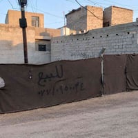 الوليد • زراعي • ١٠٠م