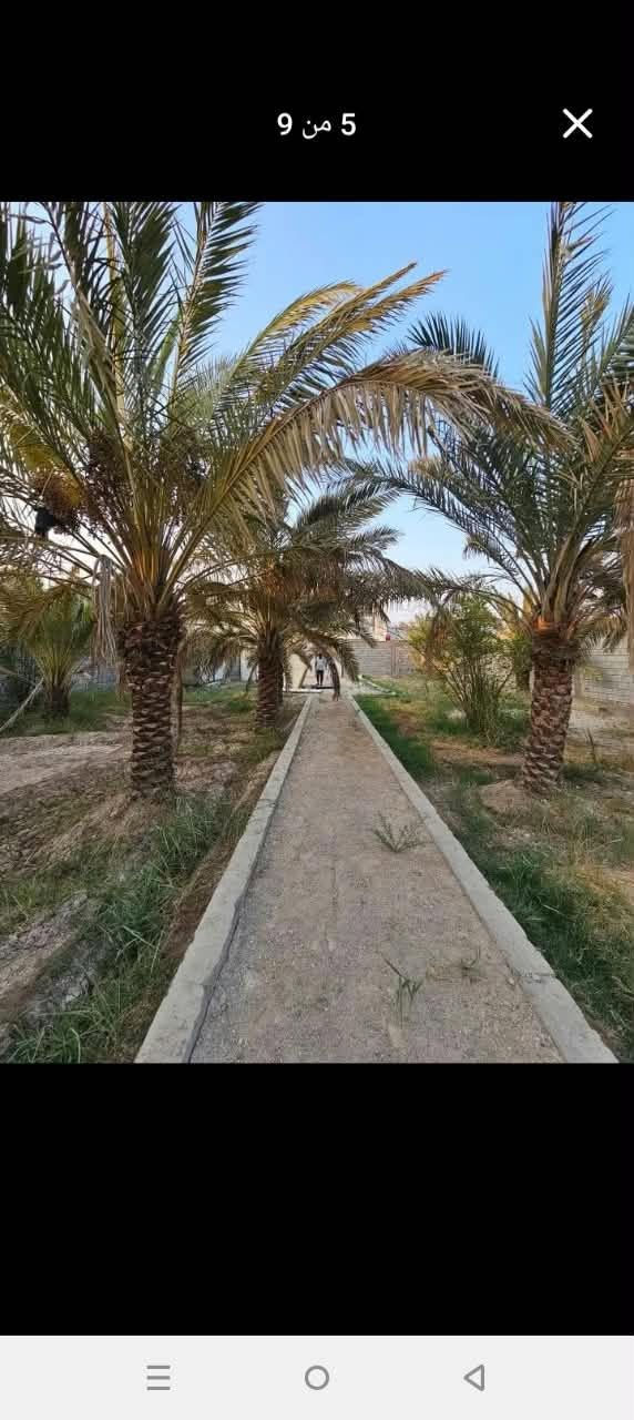 بستان • أبي الخصيب • ١٠٧٠م