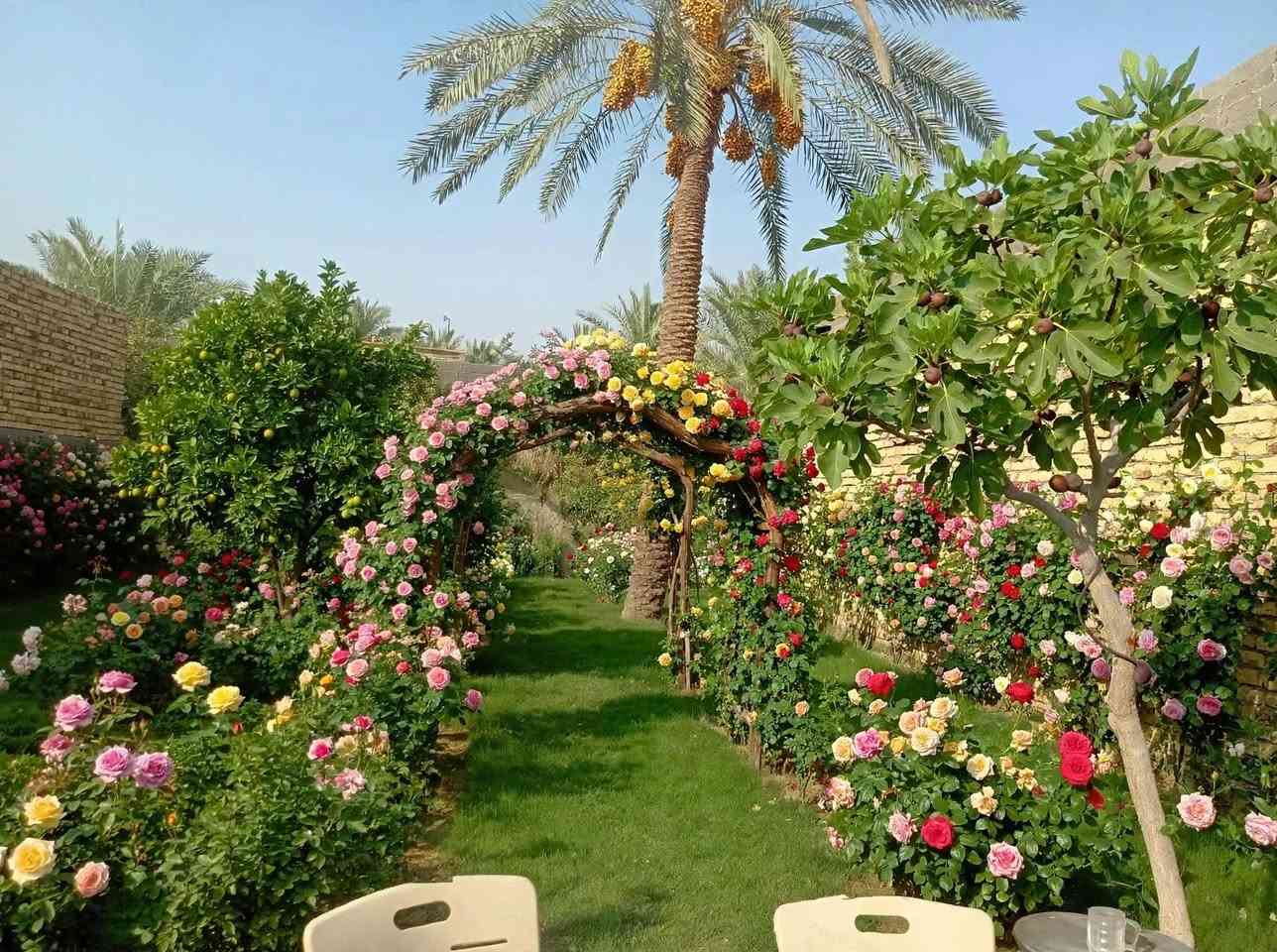 يا الله سلام عليكم يتوفر دار سكن للبيع مساحة 270متر ملك صرف زراعي حق التصرف موقع مميز قرب أثار بابل بناء حديث ديكورات مغربيه حديقه جانبيه بيت متعوب عليه سعر 170مليون الي يحب يتواصل مسنجر حلة, بابل
