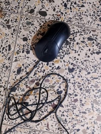 ماوس