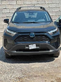 راف فور هايبرد • ٢٠٢٤ • ٥ قطع صبغ