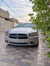 مراواس اوباما • ٢٠١٠ • ابيض