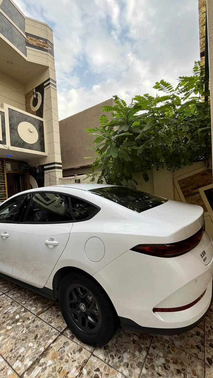كن بلاس • ٢٠٢٥ • كفالة عامة