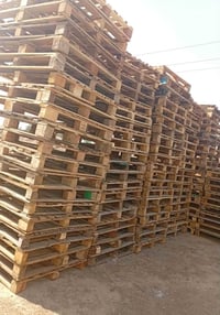 ميه سكيبه • ١م×١٫٢م • بدون توصيل