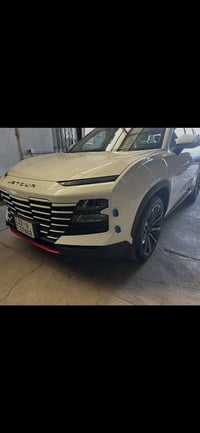 dashing 2025 1.6 luxury 2000 roshtwa klin  07501916091