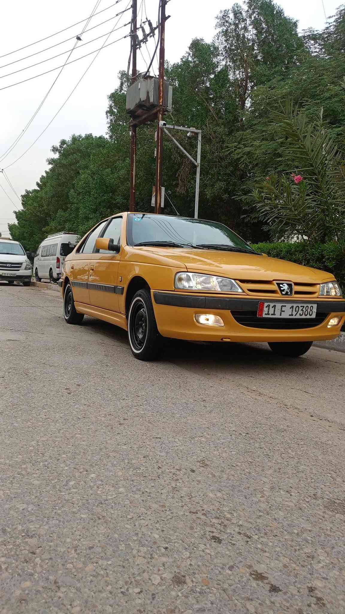 بيجو بارص • ٢٠١٦ • كفالة عامه