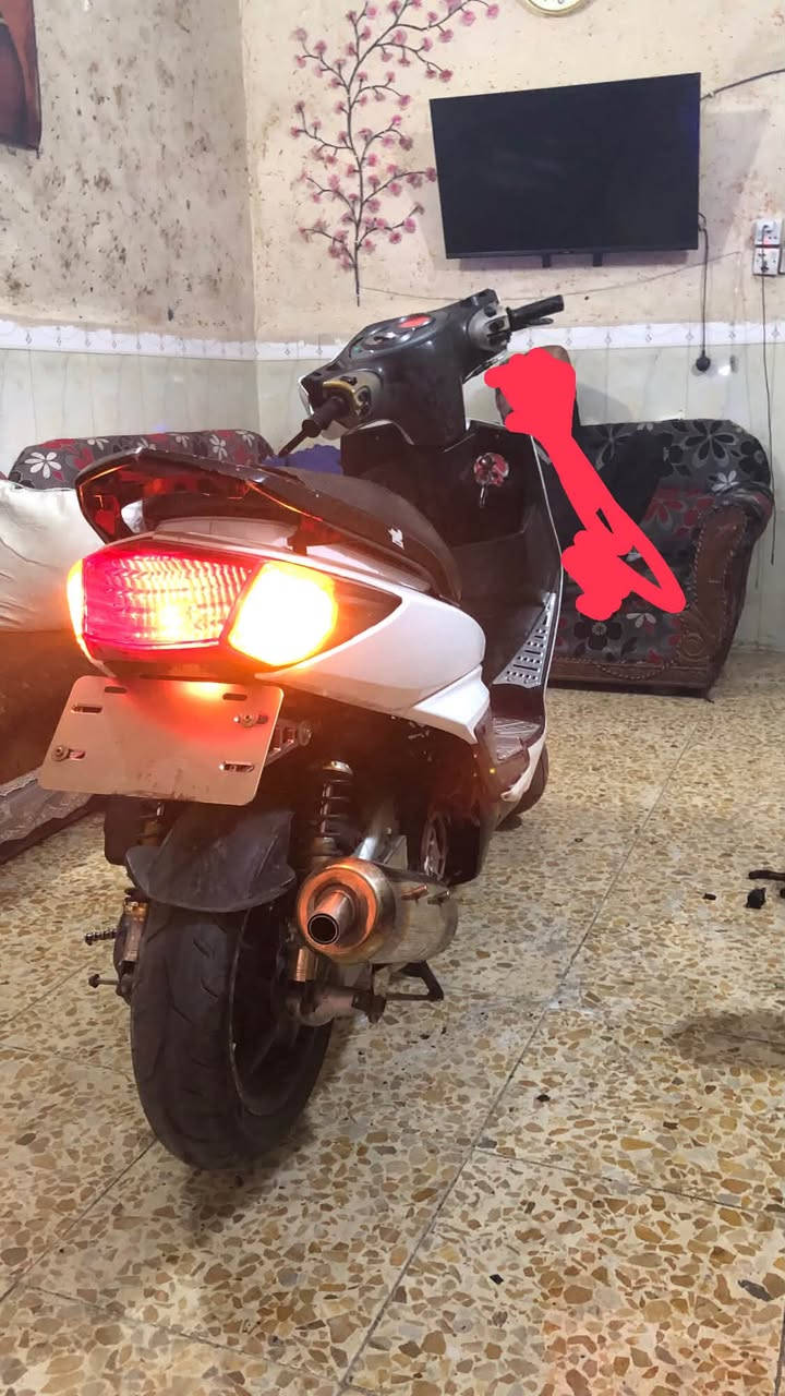 السلام عليكم سكنس فحل نوزل لبيع لو مراوس  بيها مكينه رياضي تي تي مارك سلف كوسو صالنصه سجميه كلجات رياضي قباقه مال كور رياضي دبلات رياضي يدات رياضي اشاير لد نوزل 8 زروف كلوب زنون قاعده مال رقم تايرات جلاتين جوزه وسويج رياضي قبق فلاوين مكاني بغداد مدينة لصدر قطاع 21 لسعر700 وبيها مجال رقمي ***********
