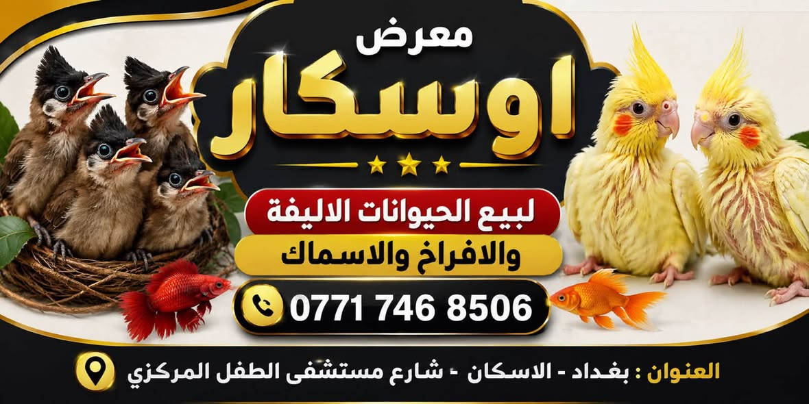 خلطه معرض أوسكار البلجيكية للبلابل ضمان وامان جرب متخسر ***********
