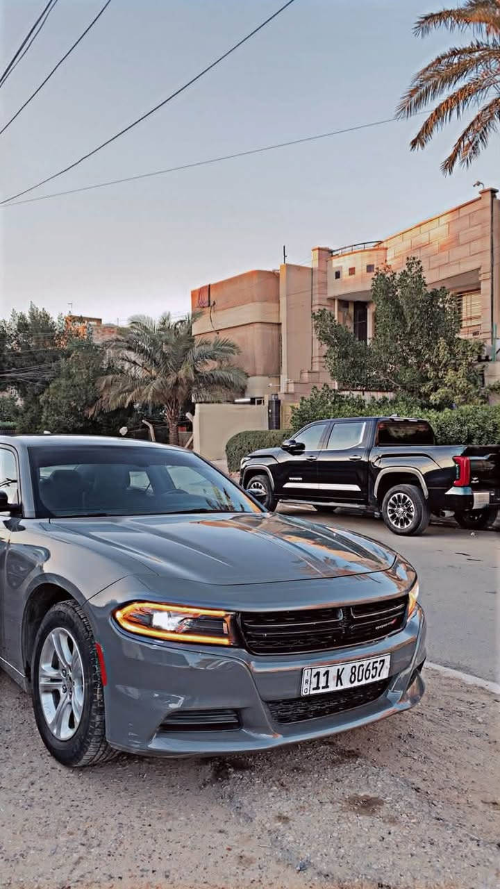 السلام عليكم
دوج جارجر SXT  (امريكي)
موديل: 2023 اصل اخر اصدار
لون :اسمنتي
المحرك : v6
الضرر: موضح بصور دعامية السيارة وتصلحت نفسها 
ممشى السيارة 45 الف 
تو ويل:
مواصفات sxt المعروفه بلاك ادشن
السعر 27.500
المكان:بغداد شارع فلسطين 
للاستفسار:***********

نص مكتوب في الصور:
- 6 من 13
- 1 من 13 HD
- 5 من 13 HD
- 3 من 13 HD