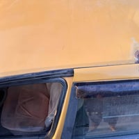 بيجو اكد 16 مثل ما موضح بالصور وبالنسبة للقمارة لحمت بس الي كدامك من ا...