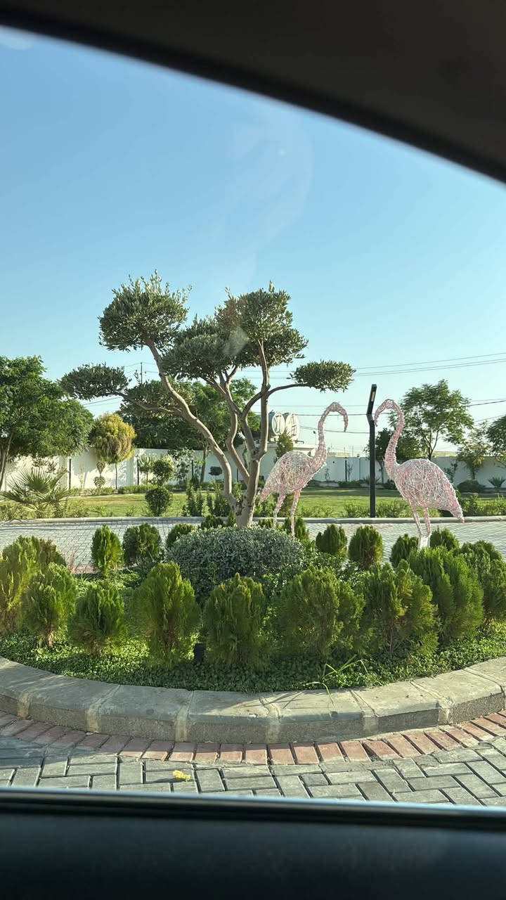 🍃✨ مزرعة فدك الترفيهية ✨🌿
مكانكم المثالي للراحة، الوناسة وقضاء أجمل الأوقات 🤍

🏡 فِلّة مؤثثة وجاهزة من كل النواحي
🌳 أجواء هادئة ومساحات جميلة
🏊‍♂️ مسبح وأجواء ترفيهية
👨‍👩‍👧‍👦 مناسبة للعوائل والجمعة الحلوة

📍 كركوك /حي بدر
📞 للحجز والاستفسار: ***********

مزرعة فدك… لأن أجمل الذكريات تبدأ من هنا ❤
