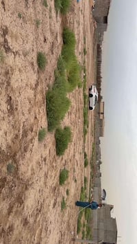 الدورة هور رجب قرب سريع اليوسفيه قرب شارع الفرن سند ٢٥ اقرار محكمه من ...
