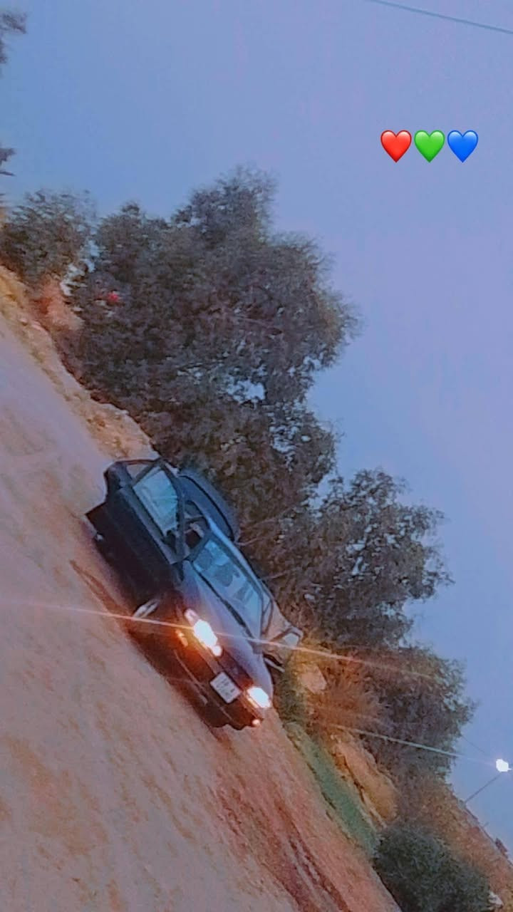 سيفيا ٩٥ • كير عادي • صبغ عام