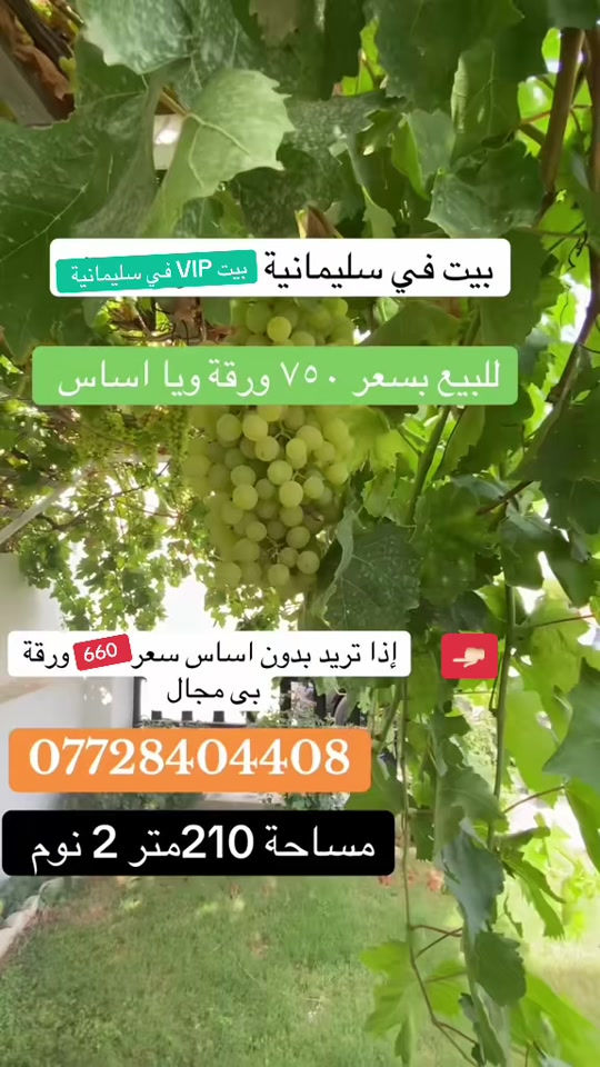 سليمانية • ٢١٠متر • ٢ نوم