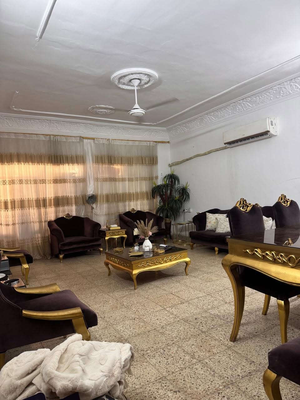 تخم للبيع نظيف جدا الخشب زان مصري مكان الاعلام السعر مليون و١٠٠ للاستفسار الاتصال ***********

