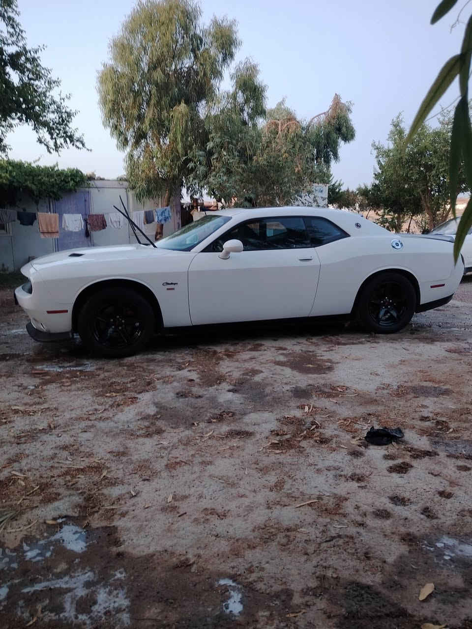 السلام عليكم جالنجر مديل 15 بغداد بسمي فول السياره ماشيه 112 ميل كلوب ما مشتغل بيه  بيه طعجات وشخط ونصبغت اصفاح حادثه وسونارها بل منشور بغداد مدينه الصدر(السعر  ( 127) ***********
