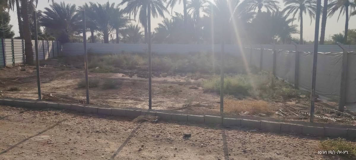 البو شناوه • شارع طالب الغاوي • ٥٦٠م