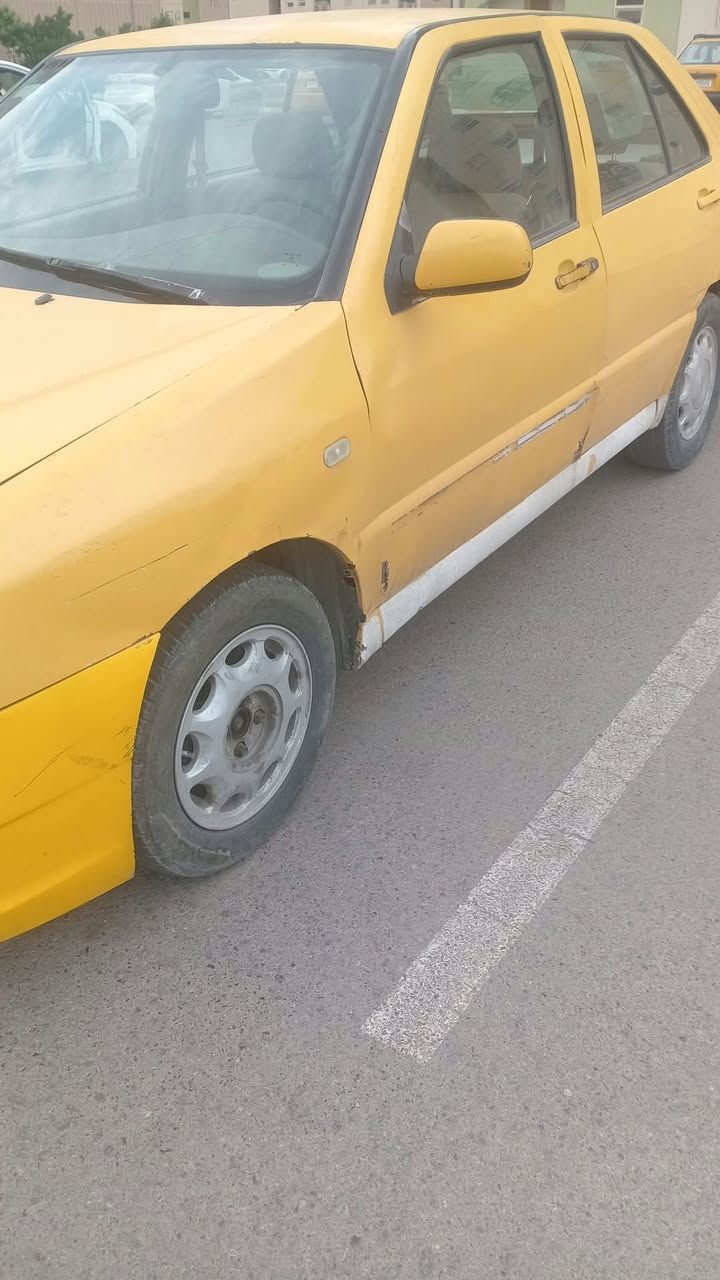 شيري كوين • عادي • كله جديد