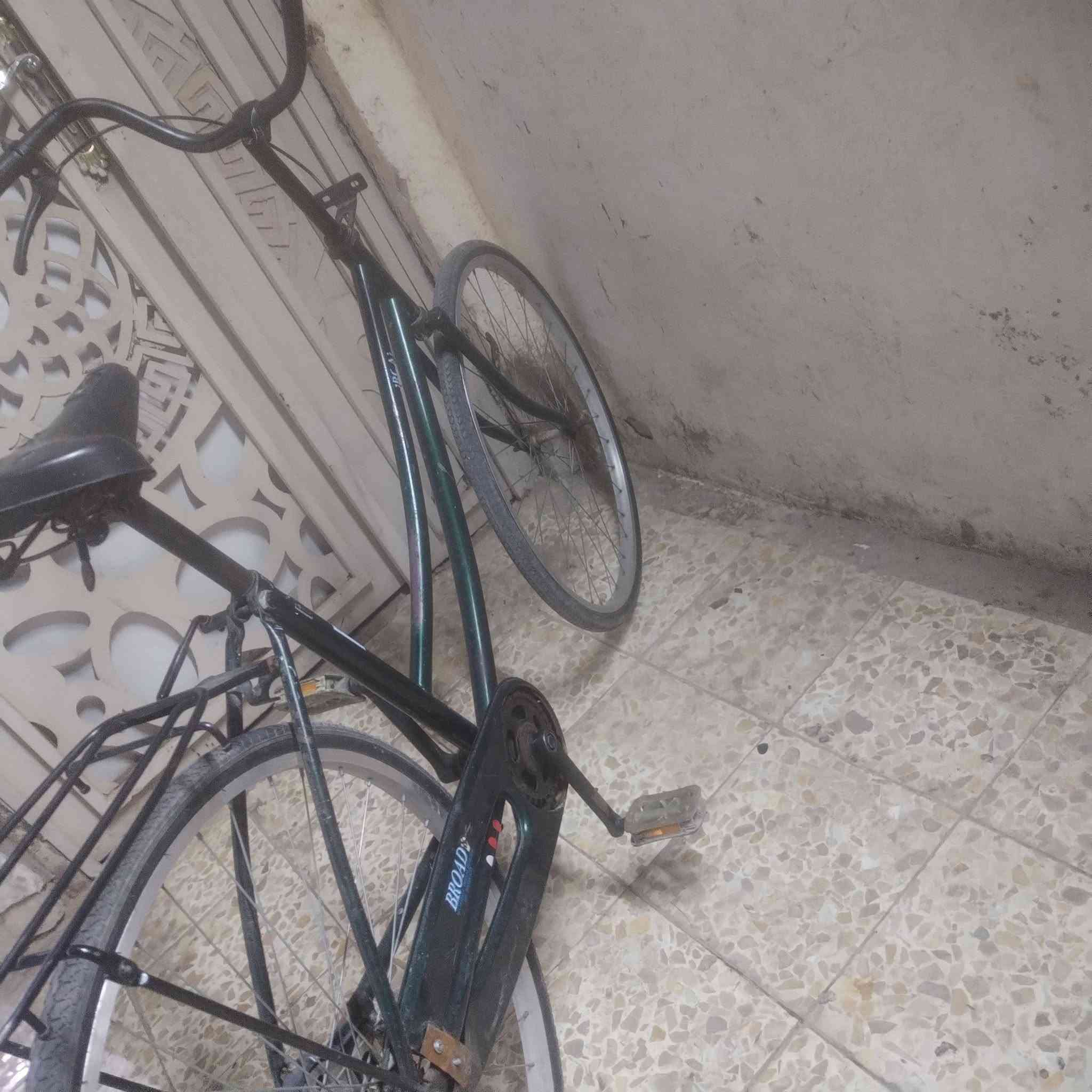 باسكل • موديل ١٣ • مجال قليل