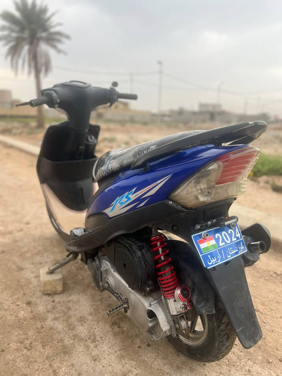 ماكس عدله • دبلات رياضي • كفاله عامه