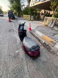 فراشة فحل • مفتوحه • باتري