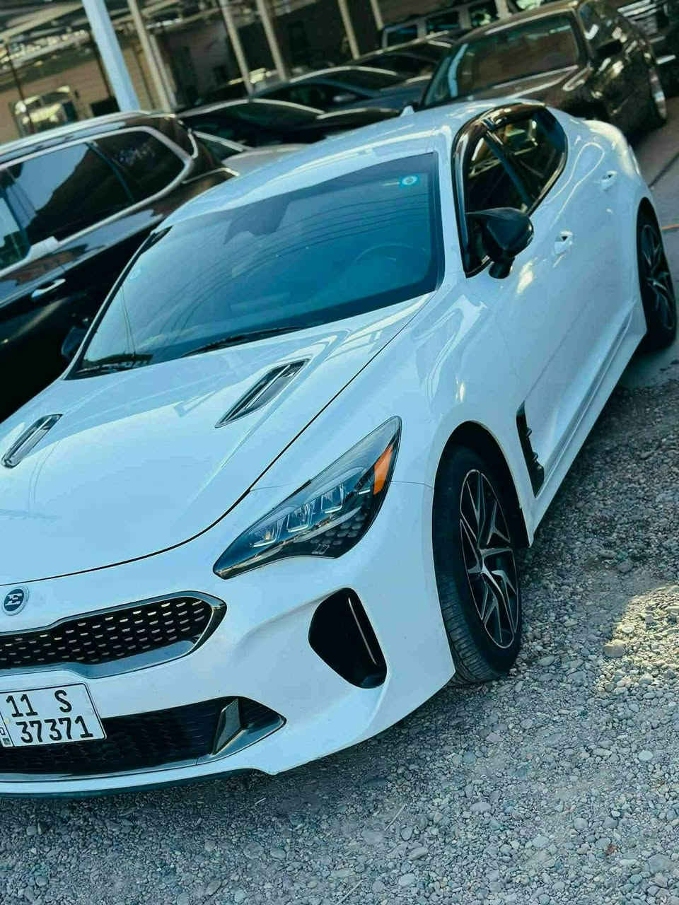 بيع سريع ومستعجل
كيا ستنكر 2022
2500 cc v4 
فول عدا الفتحه 
ماشيه 65000 ميل
صبغ صفحه كامله لا لغود ولا شواصي سليمات 
حادثها بأمريكا ومصلحه هناك 
كير + محرك كفاله عامه 
سياره خير من الله وبأسمي
السعر 150 وبيها مجال
مكان السياره الانبار الفلوجة

للتواصل ولتفاصيل اكثر خاص او الاتصال على الرقم
***********
السونار مرفق + صور السياره في امريكا
